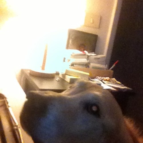 ClaudioGaeta's profile picture. 