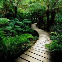 AnnKa  Baumgärtner (@baumika) Twitter profile photo