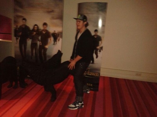 svemsmitmx2's profile picture. #38