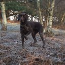 nicole coe - @coe_nicole - Twitter