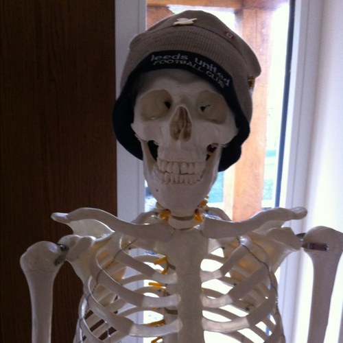 skelingtongore's profile picture. 