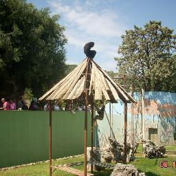 michelebenedet4's profile picture. 