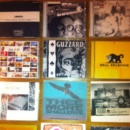 CHRMLP's profile picture. TERRILS (@TRRLS)
It It Anita (@ititanita)