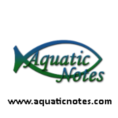 AquaticNotes's profile picture. 