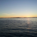 Roger Andersen - @tigertoger - Twitter