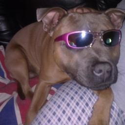 working single mum, with a staffie called simba, likes life,is keen to make new friends, dont be shy!