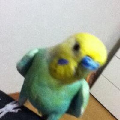 そらちゃん