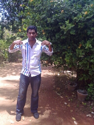 safrik007's profile picture. 