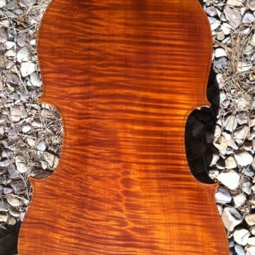 WinonaZ's profile picture. Assistant Principal cellist of the TSO, recitalist, chamber musician