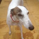 Paul Maxwell - @pmax45 - Twitter