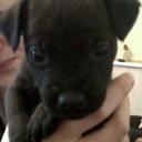 lewis walton - @lewiswalton5 - Twitter