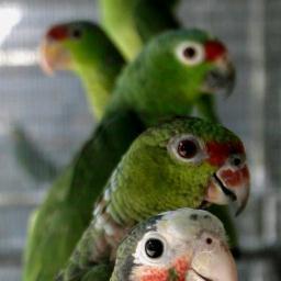 msnildapillichi's profile picture. I love life, sharing, and giving.