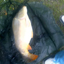 Callum  - @Callum_lang - Twitter