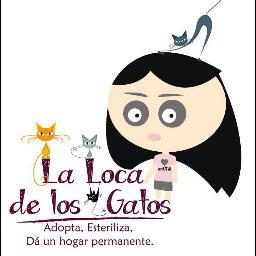 Magister de Educación Infantil, orgullosamente Uninorte 
... es lo que hay !