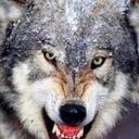 Tariq solomon - @SnAck_3 - Twitter