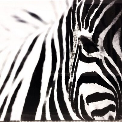 Riverのプロフィール写真