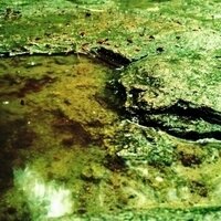 김윤성 (@qaz200912) 's Twitter Profile