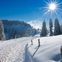 phoolkhan6's profile picture. 