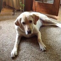 Sara Snaza (@sks919) 's Twitter Profile