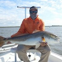 luis sierra (@flatminded) 's Twitter Profile
