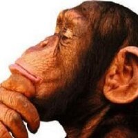 MonoSabioDice (@monosabiodice) 's Twitter Profile