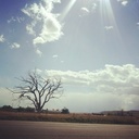 allison ochoa - @amtob - Twitter