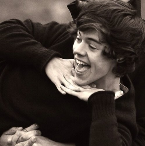 FauxCurls's profile picture. Im just Harry. Single Kitty