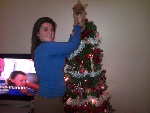ESSEX.... Add pin:2A1317A2
