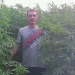 do not walk on the grass!!!