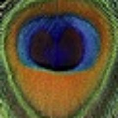 follow_imvc's profile picture. 