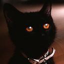 lenaicl's profile picture. 