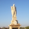 amart166's profile picture. Dos cosas me admiran: la inteligencia de las bestias y la bestialidad de los hombres