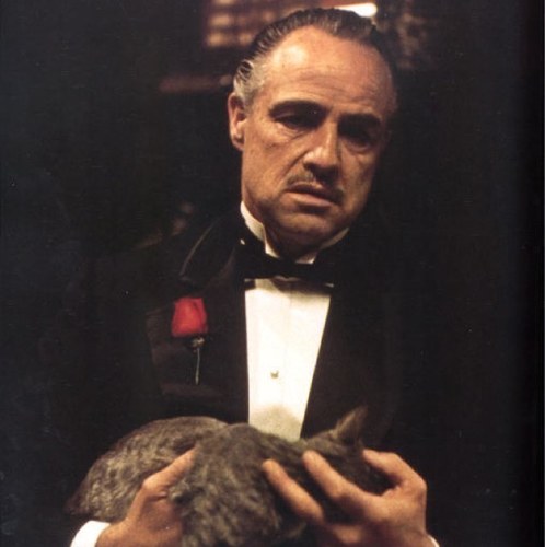 NiallsGodfather's profile picture. 