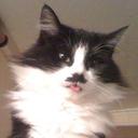 Stella murray - @StelBouy - Twitter