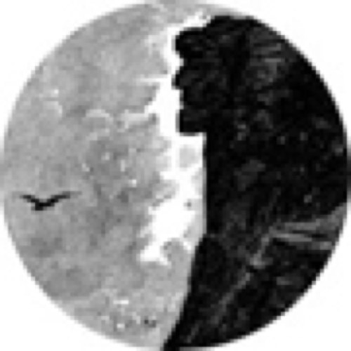 The_NHOC's profile picture. 