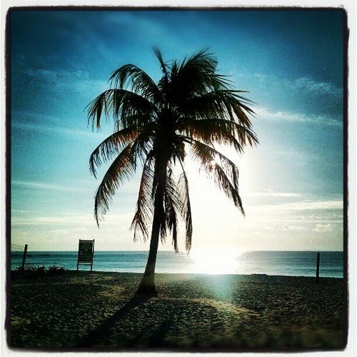 Scouting inmobiliario en la Riviera Maya
Venta/Renta/Vacacional
9841376030
