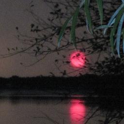 sastrub's profile picture. Writer by day. Sleeper by night.