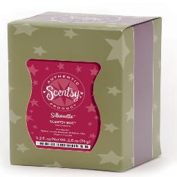 Im a Scentsy Independent Consultant, Flameless warmers, Fragrance bars, Scentsy Buddys and more!  Over 80 Fragrances to choose from!