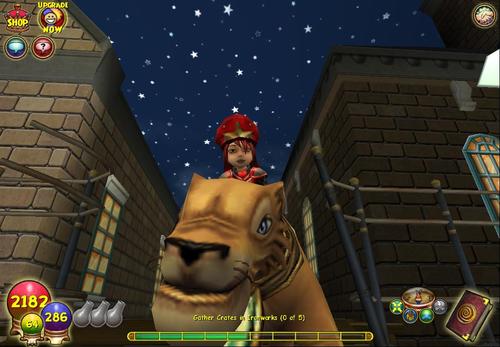Teenage girl who love to play about every single video game.Lvl 55 pyromancer