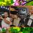 ebrahim25622269's profile image