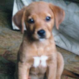 debkolsen's profile picture. 