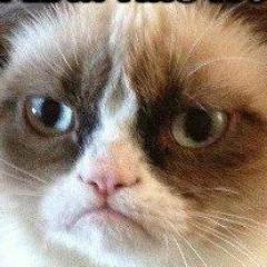 IamBilalSaeed's profile picture. An unapologetic Muslim.