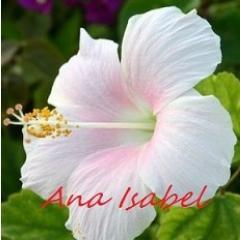🇨🇺 🇺🇲 ❤🦋🌹🌎
Siempre hay una solución para cada problema, una sonrisa para cada lágrima y un abrazo para cada tristeza...