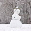 Debra Wolf - @DebraWolfPHR - Twitter