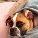 Kerry-Anne Haskell - @KerryAnne610 - Twitter