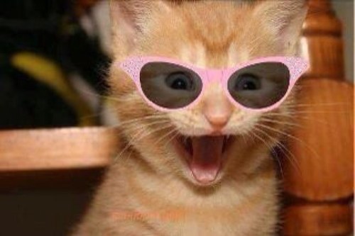 macario_stefano's profile picture. 