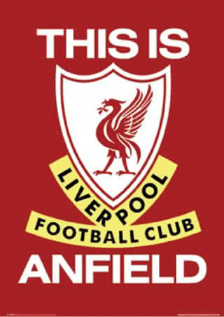 Life long liverpool fan that enjoys football , horse racing and hurling insults at the dirty mancs #YNWA #JFT96