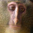 Colin Bowman - @ColinBowman1 - Twitter