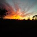 Elvia Rios - @RiosElvia - Twitter