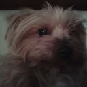 Trini Ruiz - @mtrini63 - Twitter